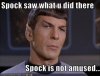 Spock_saw_preview.jpg