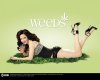 Weeds-Season-4-Promo-weeds-1543024-1280-1024.jpg