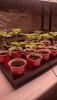 Grow1.jpg