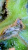 E7B63DA1-1933-4B1B-AB4B-D6093EAFC5F8.jpeg