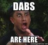 dabs-are-here.jpg