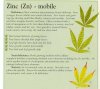 zinc-info-marijuana.jpg