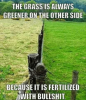 greener grass (1).png