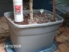 10 gallon containers 001.jpg