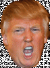 donald-trump-face.gif