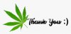 170-1703453_thank-you-cannabis-png-thank-you-cannabis-transparent.jpeg