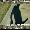thumb_saw-my-shadow-six-more-week-of-winter-groundhog-day-41448794.png