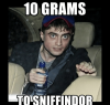 10-grams-memeyenerator-net-10-grams-to-sniffindor-daniel-radcliffe-52843140.png