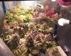 20230313_095739.jpg