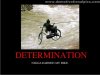 normal_determinationfi3.jpg