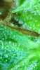 Microscope 4.jpg