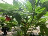 IMG_3167.jpeg
