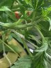 IMG_3179.jpeg