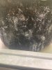 IMG_3210.jpeg
