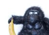 funny-gorilla-banana-142752068.jpg