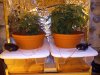 IMG_20231007_161611556.jpg