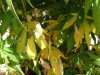 DSC01047.jpg