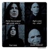 potter-has-escaped-right-under-n-pottermemes-nose-right-under-my-avada-kedavra-via-ronaldrago...jpeg