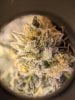 week14_right_trichs.jpg