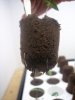 100_4013.JPG