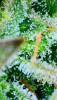 2024_05_25_08_24_19_937.png