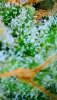 2024_05_25_08_30_17_348.png