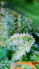 2024_05_25_08_25_00_850.png