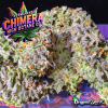 New Instagram Permanant Chimera X High Octane OG by Original Dank copy.png