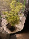 IMG_2476.jpeg