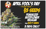 Medium Best April Fools Sale.jpg