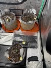 Autos__04_04_2025_01.jpg