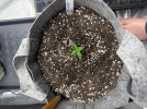 Autos__04_04_2025_04.jpg