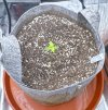 Autos__04_08_2025_03.jpg
