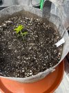 Autos__04_12_2025_07.jpg