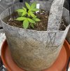 Autos__04_20_2025_04.jpg
