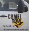 camel.png
