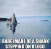 lego.jpeg