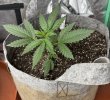Autos__04_23_2025_04.jpg