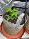 Autos__04_23_2025_05.jpg