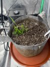 Autos__04_23_2025_05a.jpg