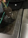 IMG_9816.jpeg