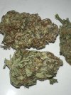 IMG_1570.jpeg