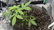 Autos__04_26_2025_05.jpg