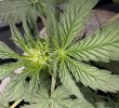 Autos__04_26_2025_03a.jpg