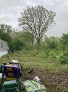 IMG_2204.jpeg