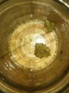 IMG_20250503_170554.jpg