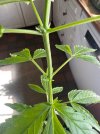 IMG_1627.jpeg