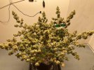 IMG_6757.jpeg