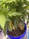 IMG_1029.jpeg