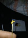 20250518_085148.jpg